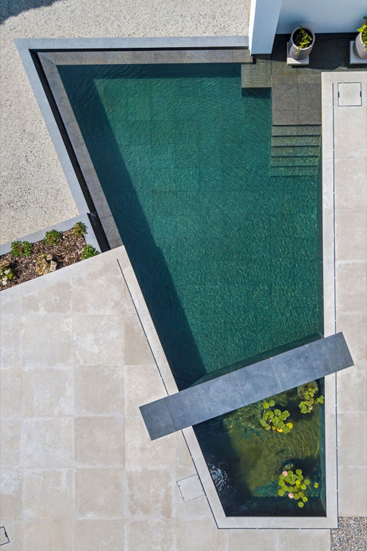 Dive Into These Stunning Swimming Pool Designs