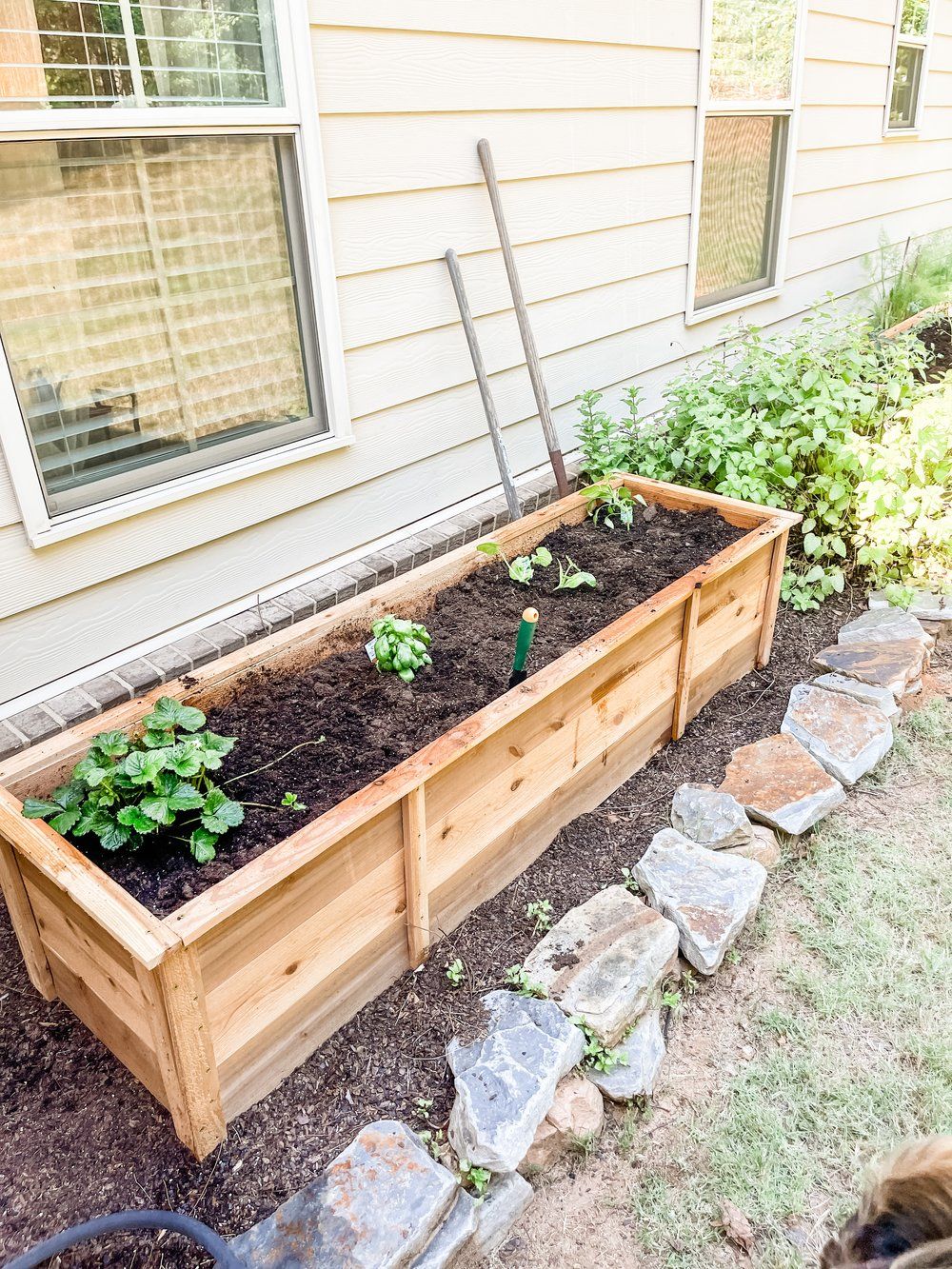 Easy Steps to Make Your Own Garden Planter Boxes from Scratch