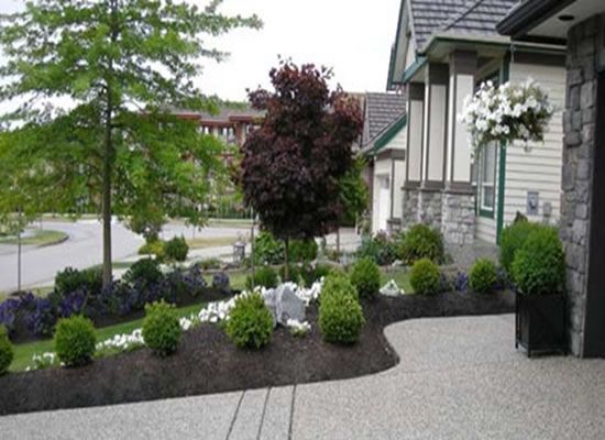 Effortless Front Yard Landscaping: Embracing Minimalism