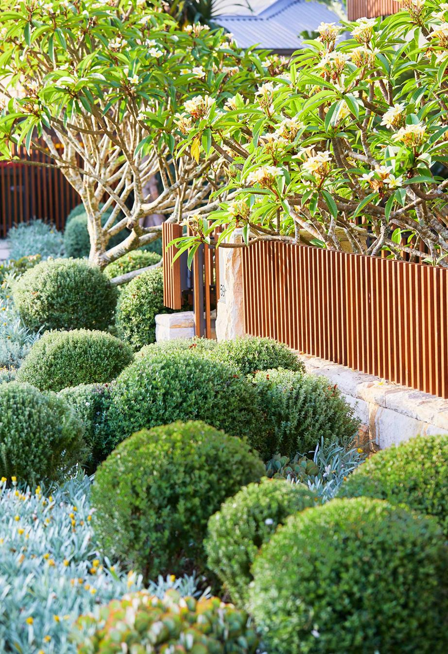 Effortless Garden: Creative Ideas for Low Maintenance Landscaping