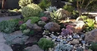 garden ideas low maintenance