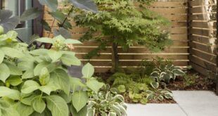 small garden design low maintenance