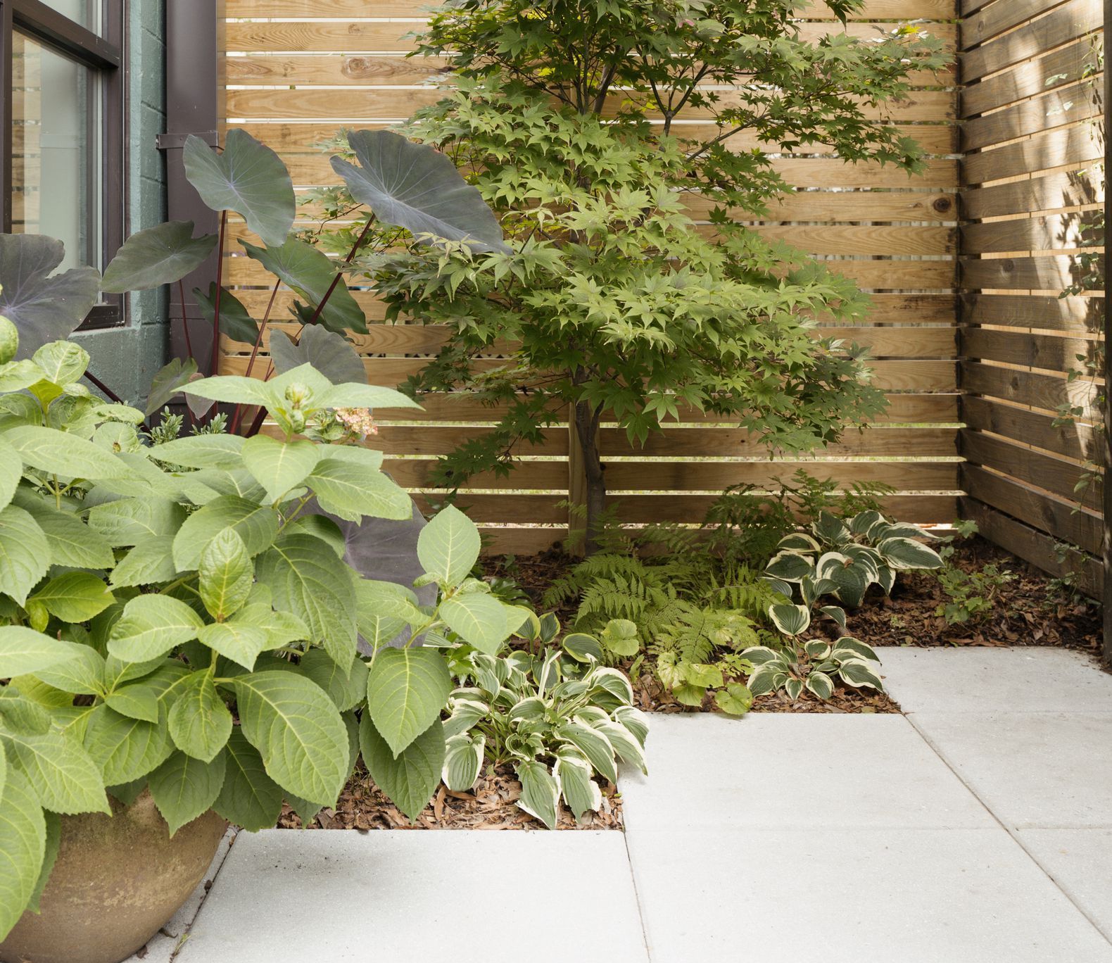 Effortless Small Garden Design: The Key to Low Maintenance Landscaping