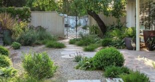 small garden design low maintenance