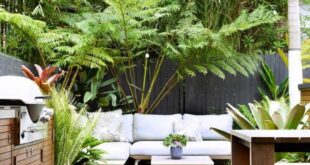 small garden design low maintenance