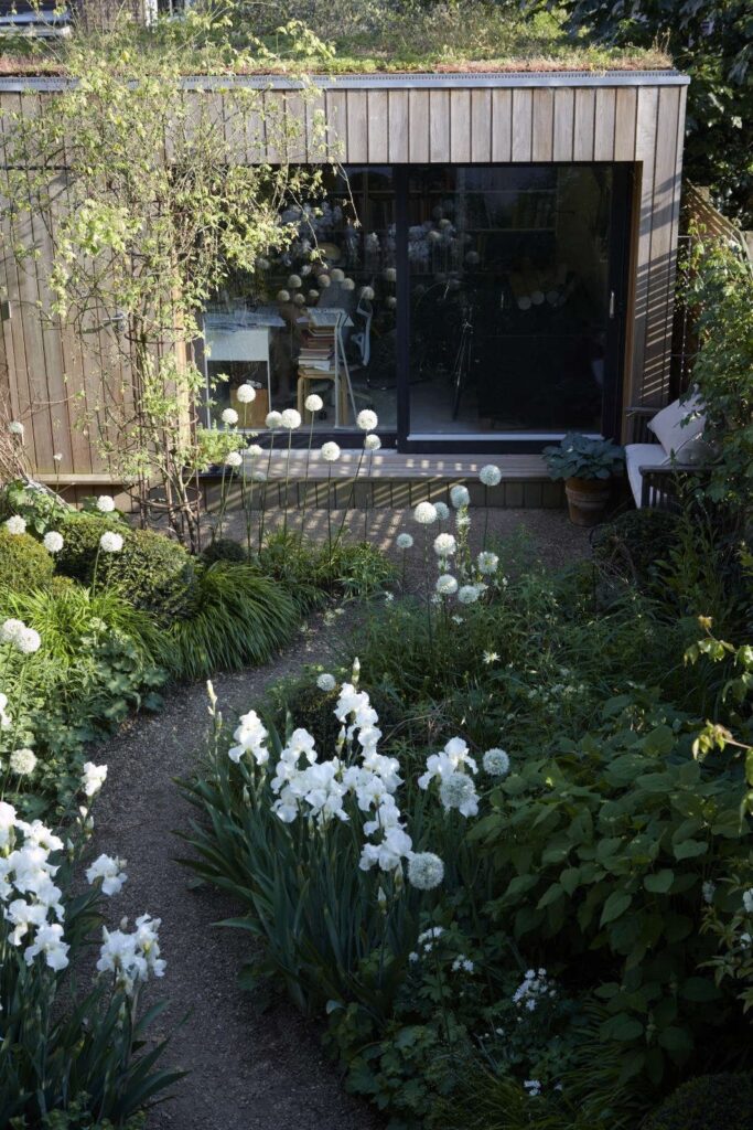 small garden design low maintenance