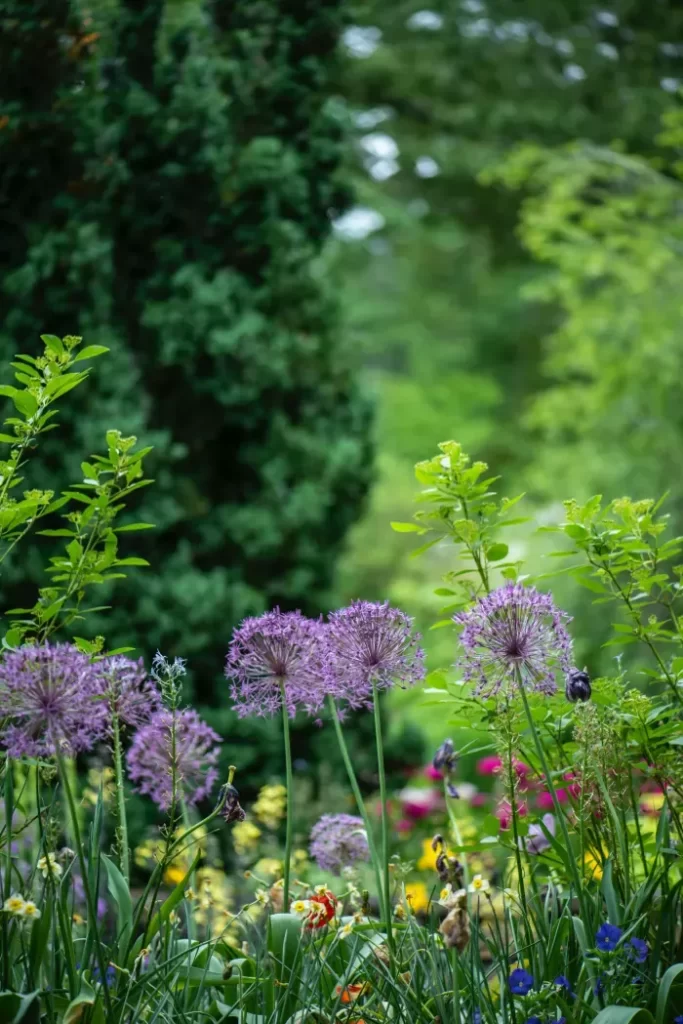 memorial garden ideas