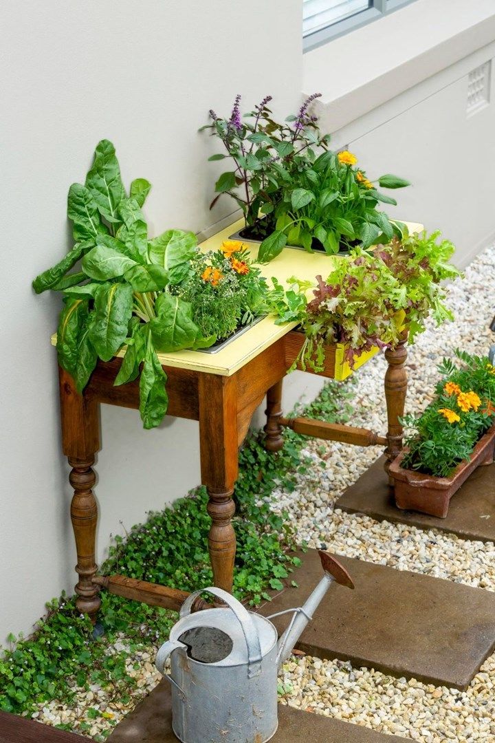 Elevate Your Garden with a Stylish Planting Table