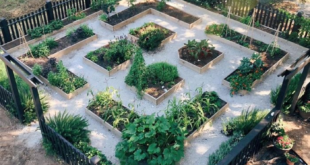 raised bed garden ideas