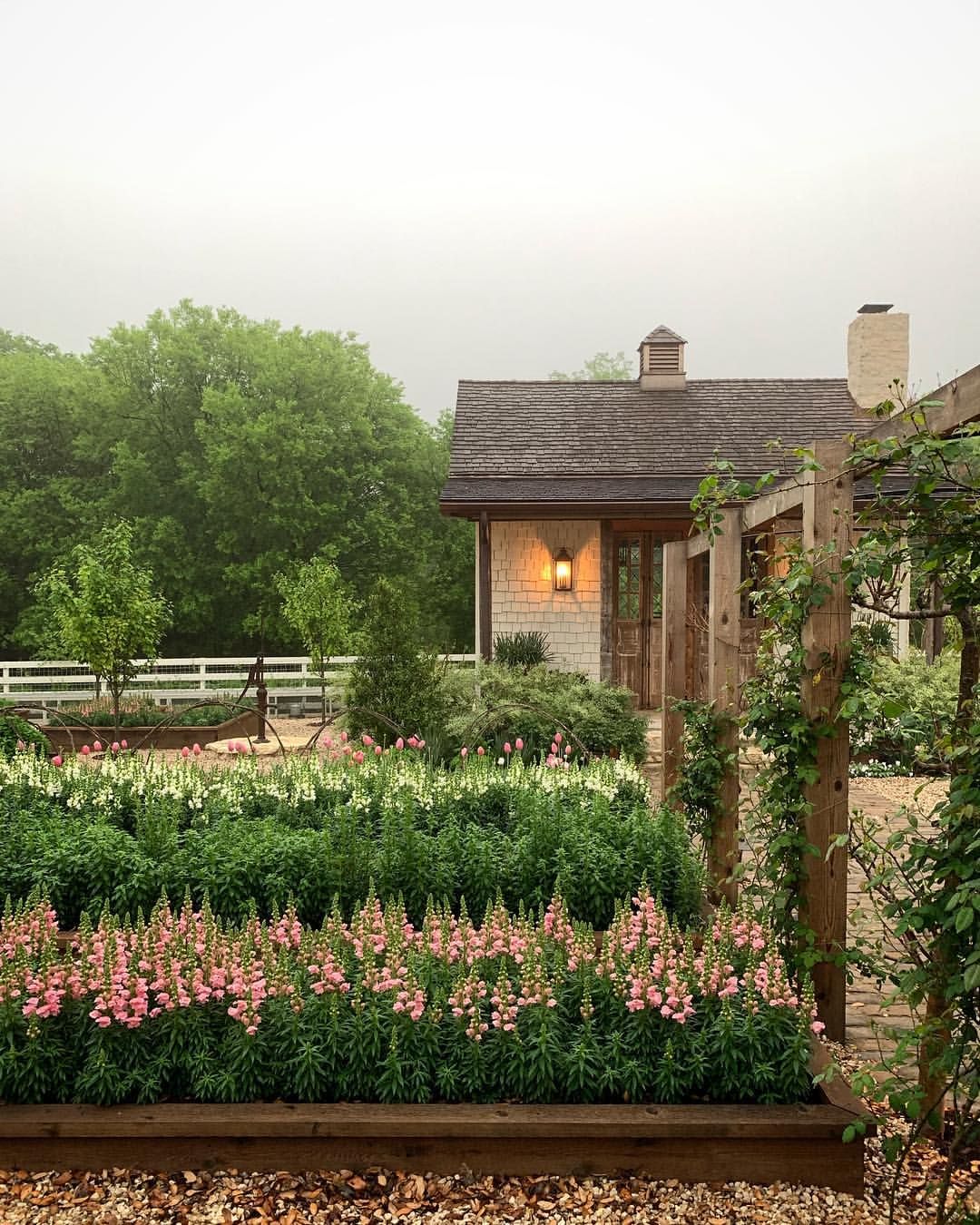 Elevated Flower Beds: A Beautiful Way to Showcase Your Garden