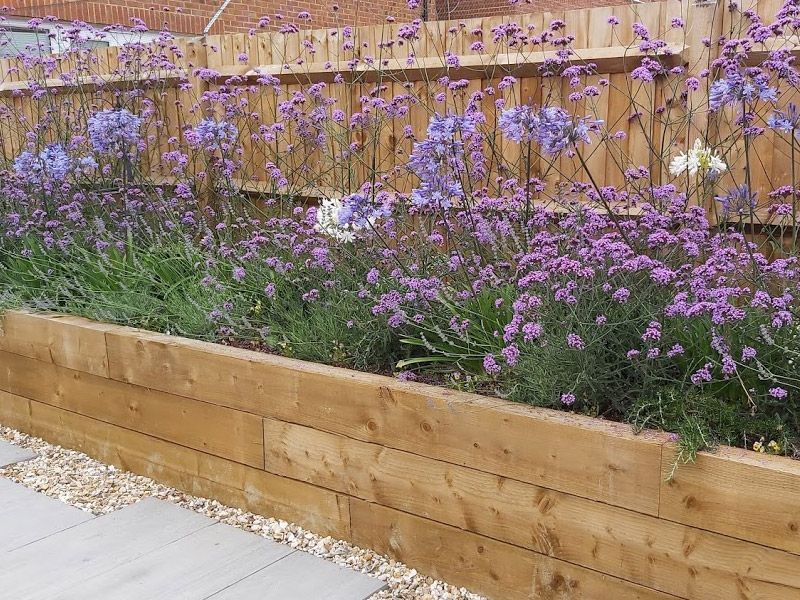 Elevated Flower Beds: A Creative Solution for Gardening