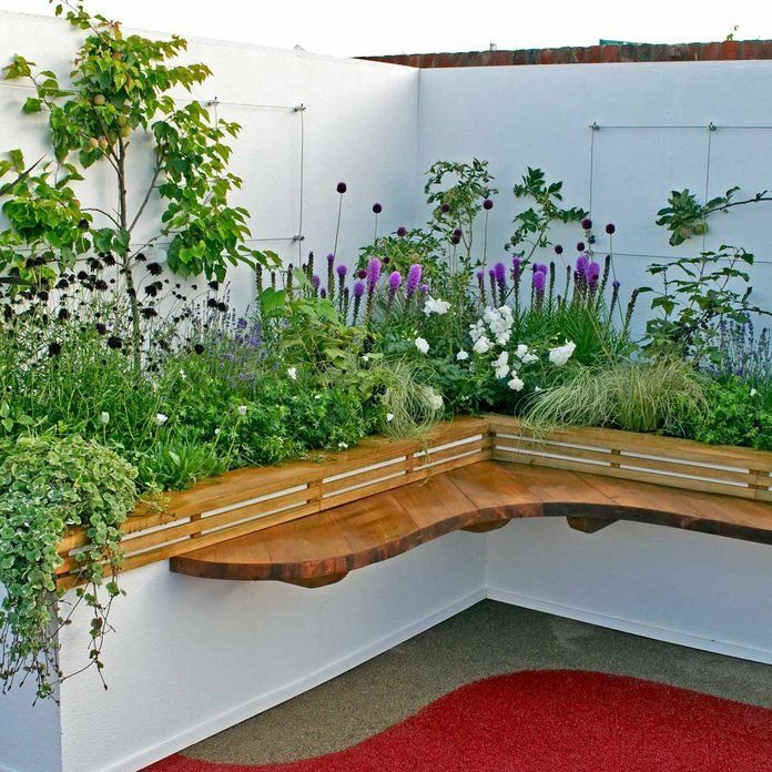 Elevated Garden Beds: A Better Way to Grow Beautiful Flowers