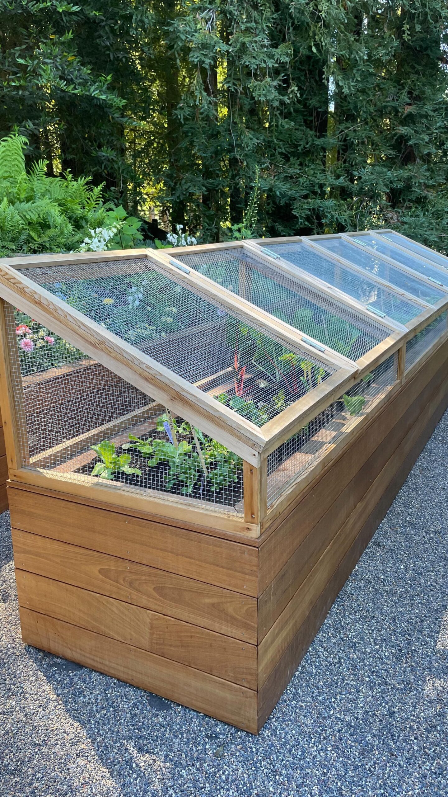 Elevated Garden Beds: A Higher Approach to Gardening