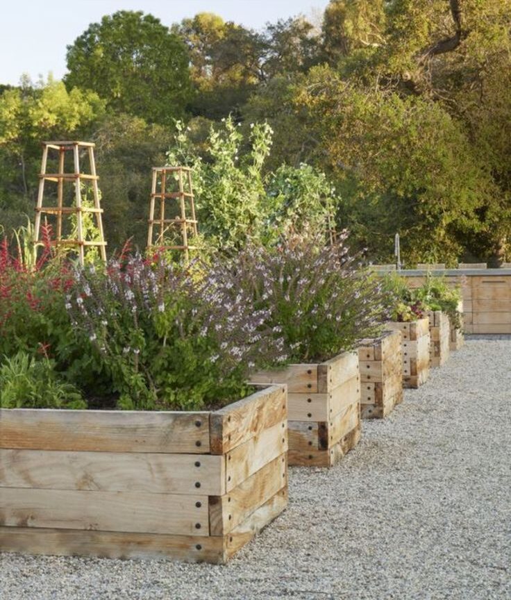 Elevated Gardening: The Benefits of Using Raised Garden Beds