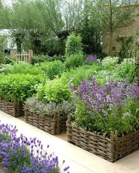 Elevating Your Herb Garden with Thoughtful Design