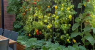 vertical garden