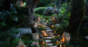 outdoor fairy garden ideas