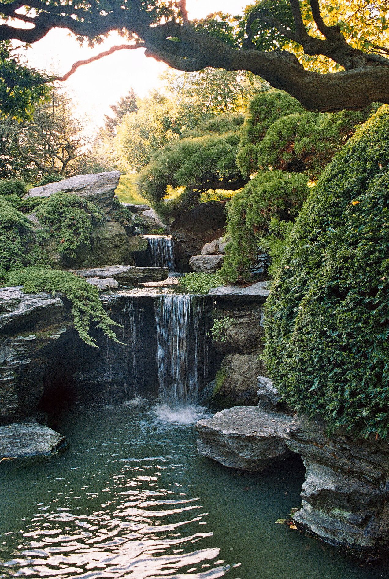 Enchanting Waterfalls: A Tranquil Addition to Your Garden