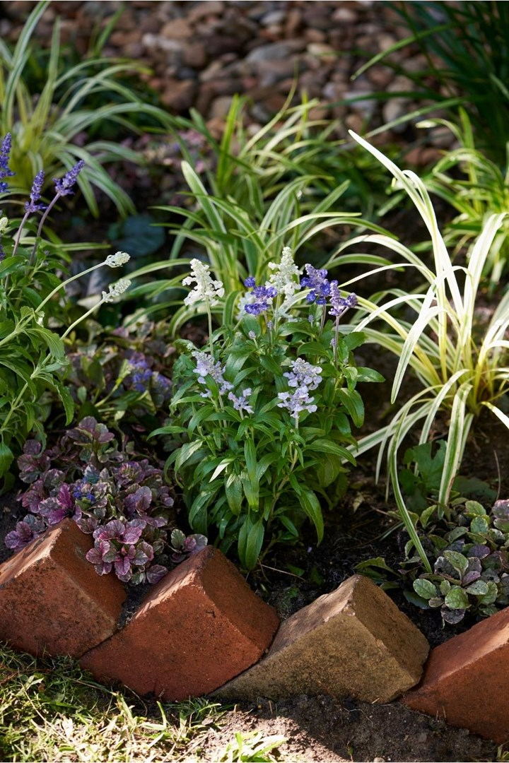 Enhance Your Garden with Beautiful Edging Designs
