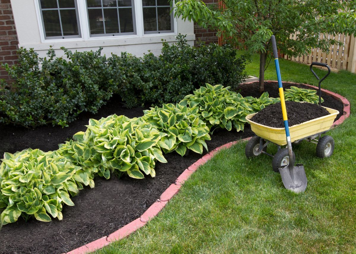 Enhance Your Garden with Beautiful Landscaping Mulch