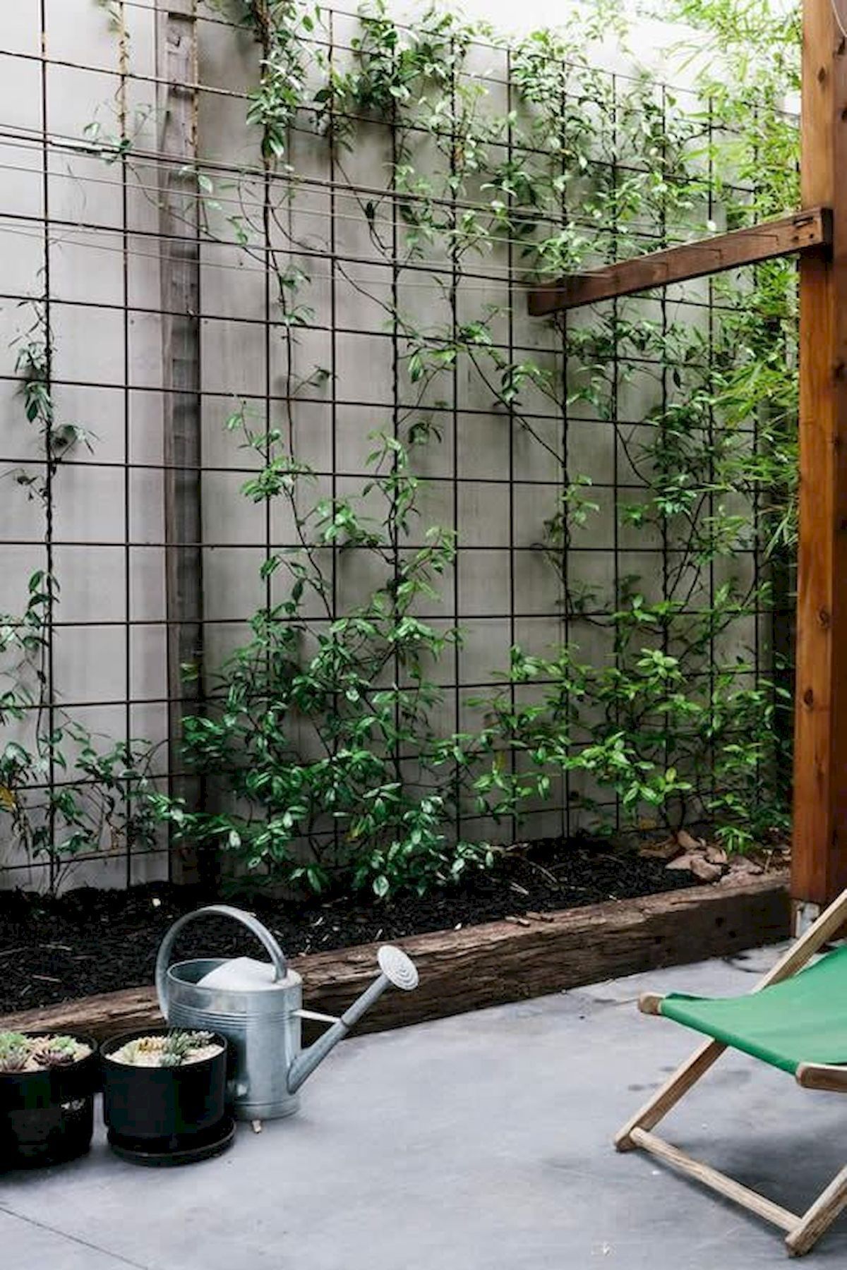 Enhance Your Garden with Beautiful Trellises