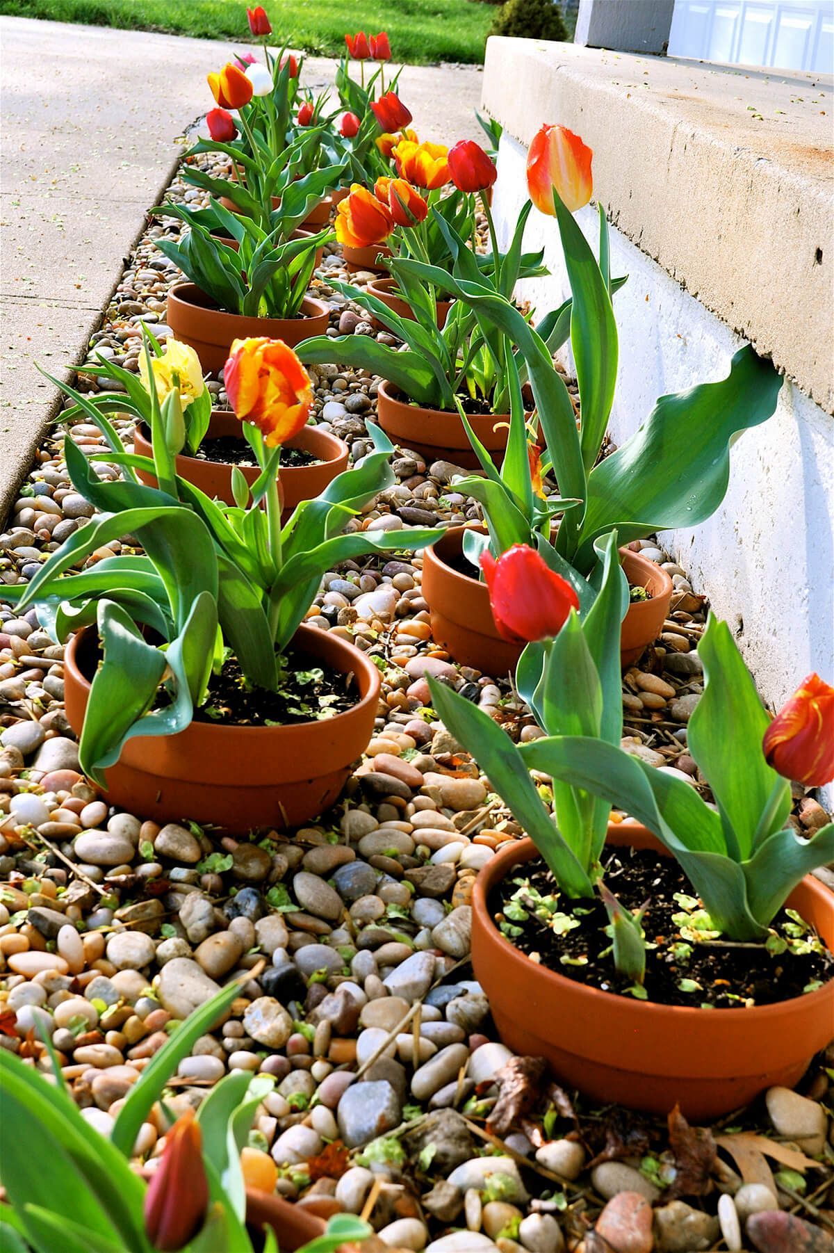 Enhance Your Garden with Stunning Rock Flower Beds