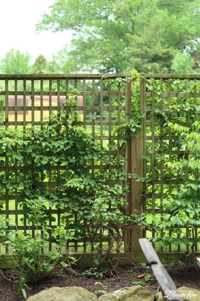 Enhance Your Garden with Stylish Fence Panels