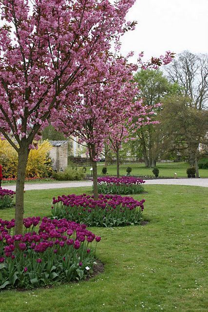 Enhance Your Home’s Curb Appeal with Stunning Front Yard Garden Ideas