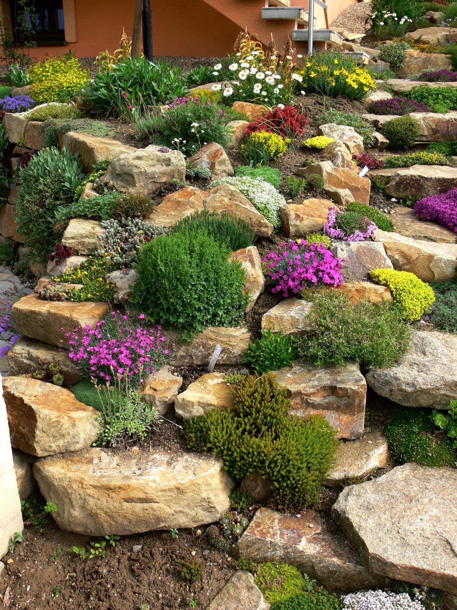 Enhance Your Landscape with Stunning Rock Gardens