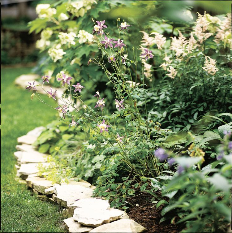 Enhance Your Outdoor Space with Beautiful Landscape Edging