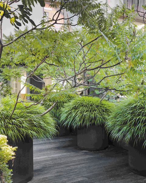 Enhance Your Outdoor Space with Oversized Garden Planters