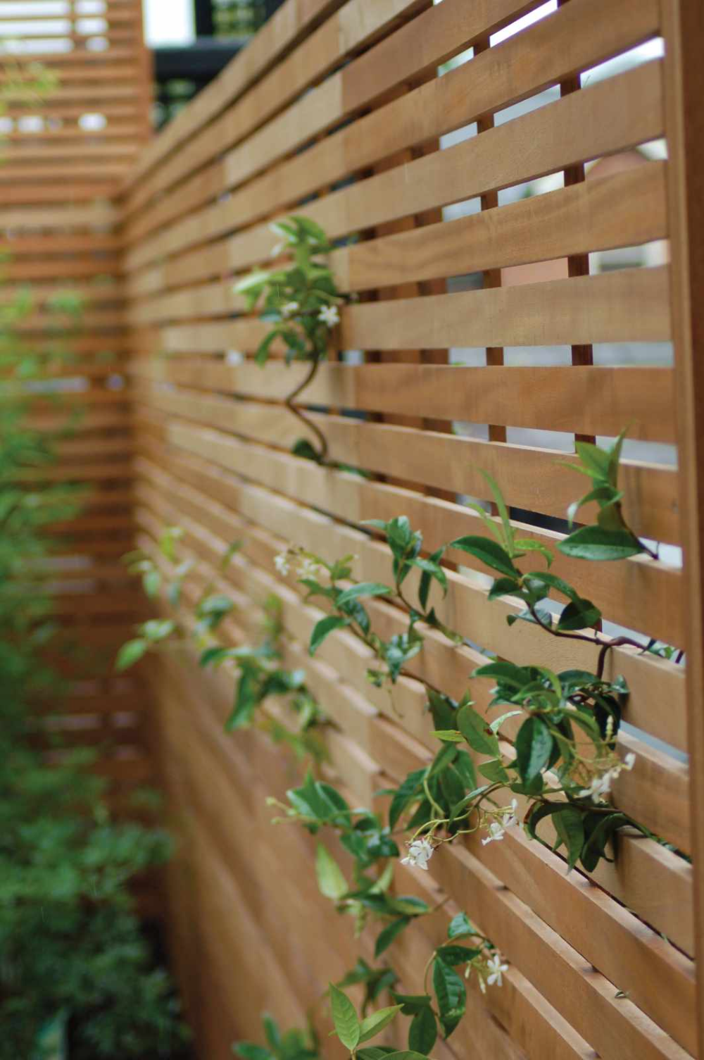 Enhance your outdoor space with beautiful garden fence panels