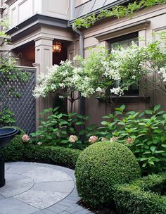 Enhancing Curb Appeal: Creating a Stunning Front Garden Design