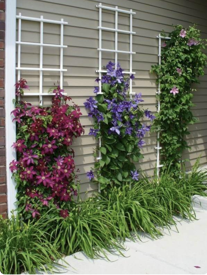Enhancing Curb Appeal: Creative Ideas for Small Front Yard Landscaping