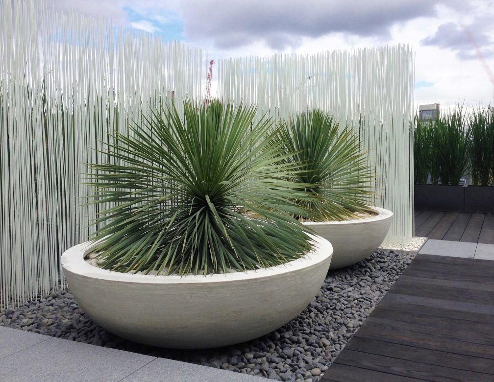 Enhancing Outdoor Spaces with Oversized Garden Planters