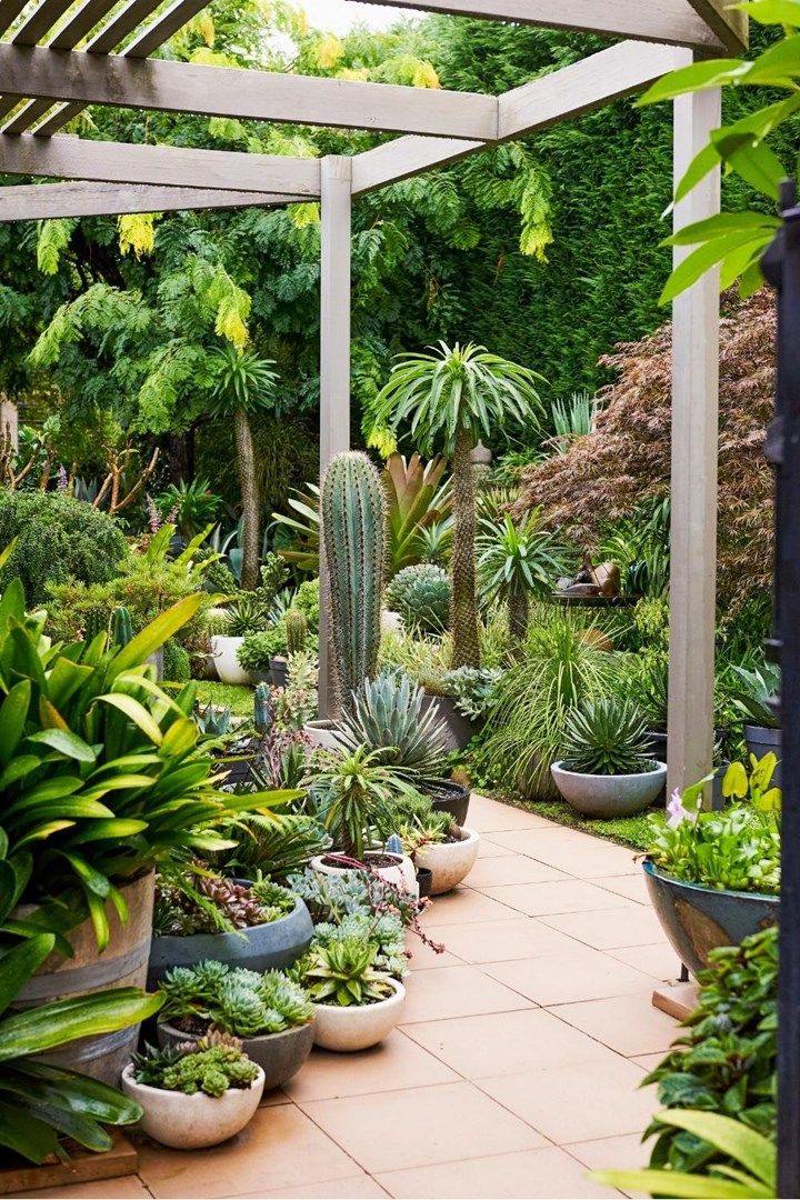 Enhancing Outdoor Spaces with Potted Plants: A Guide to Landscaping