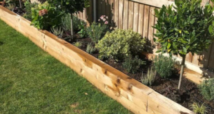 small garden edging