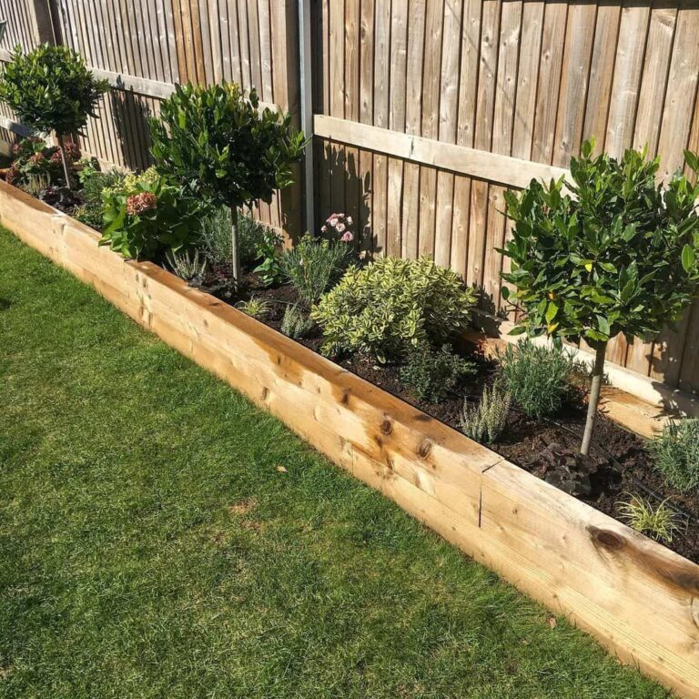 Enhancing Your Garden with Charming Edging Designs