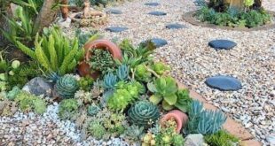 garden design with rocks