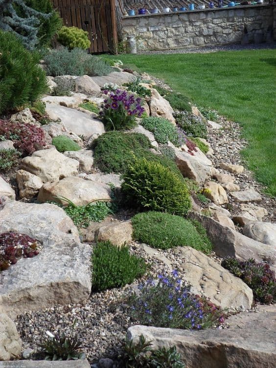 Enhancing Your Garden with Rocks: A Guide to Beautiful Design