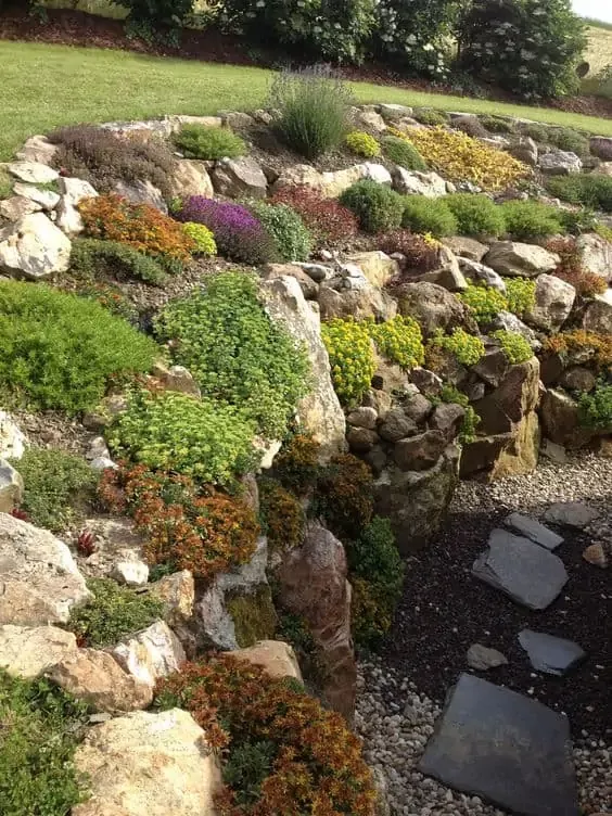Enhancing Your Garden with Rocks: A Guide to Creative Landscape Design