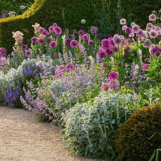 Enhancing Your Garden with a Beautiful Array of Flowers