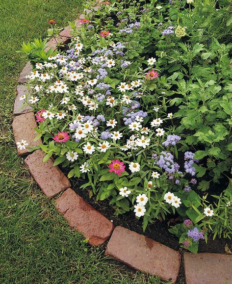 Enhancing Your Garden’s Borders with Stylish Edging Options