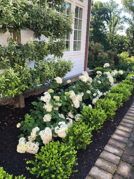 Enhancing Your Home’s Curb Appeal: Beautiful Front Yard Landscaping Ideas