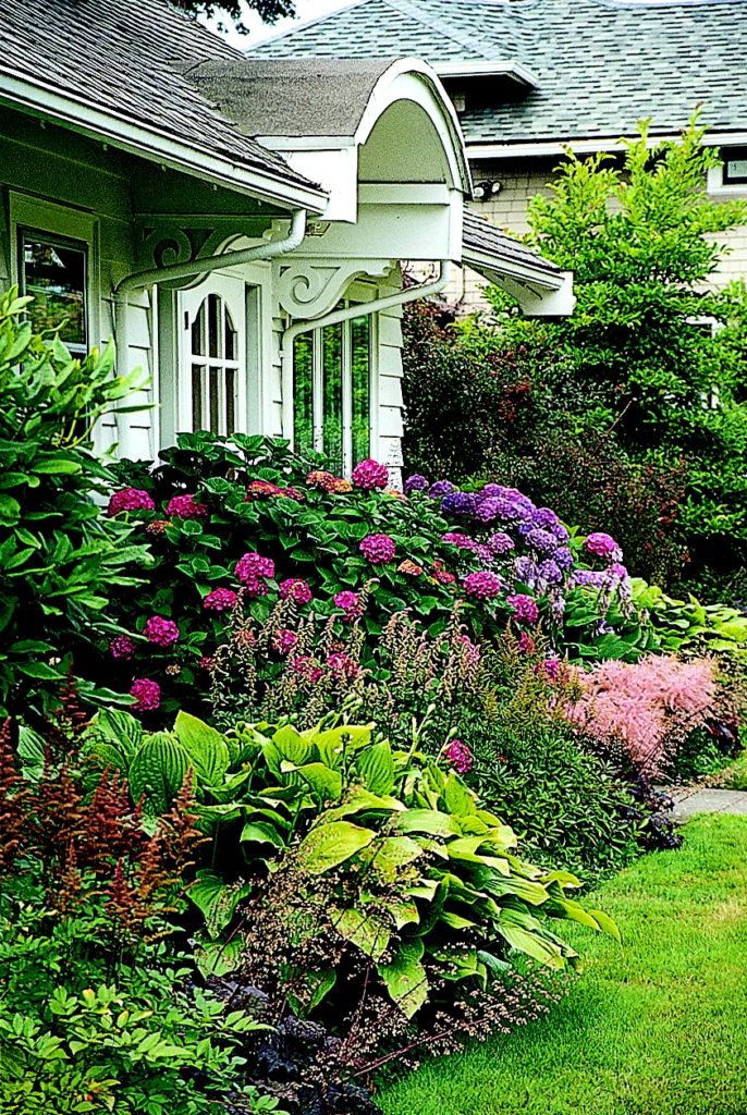 front of house landscape ideas