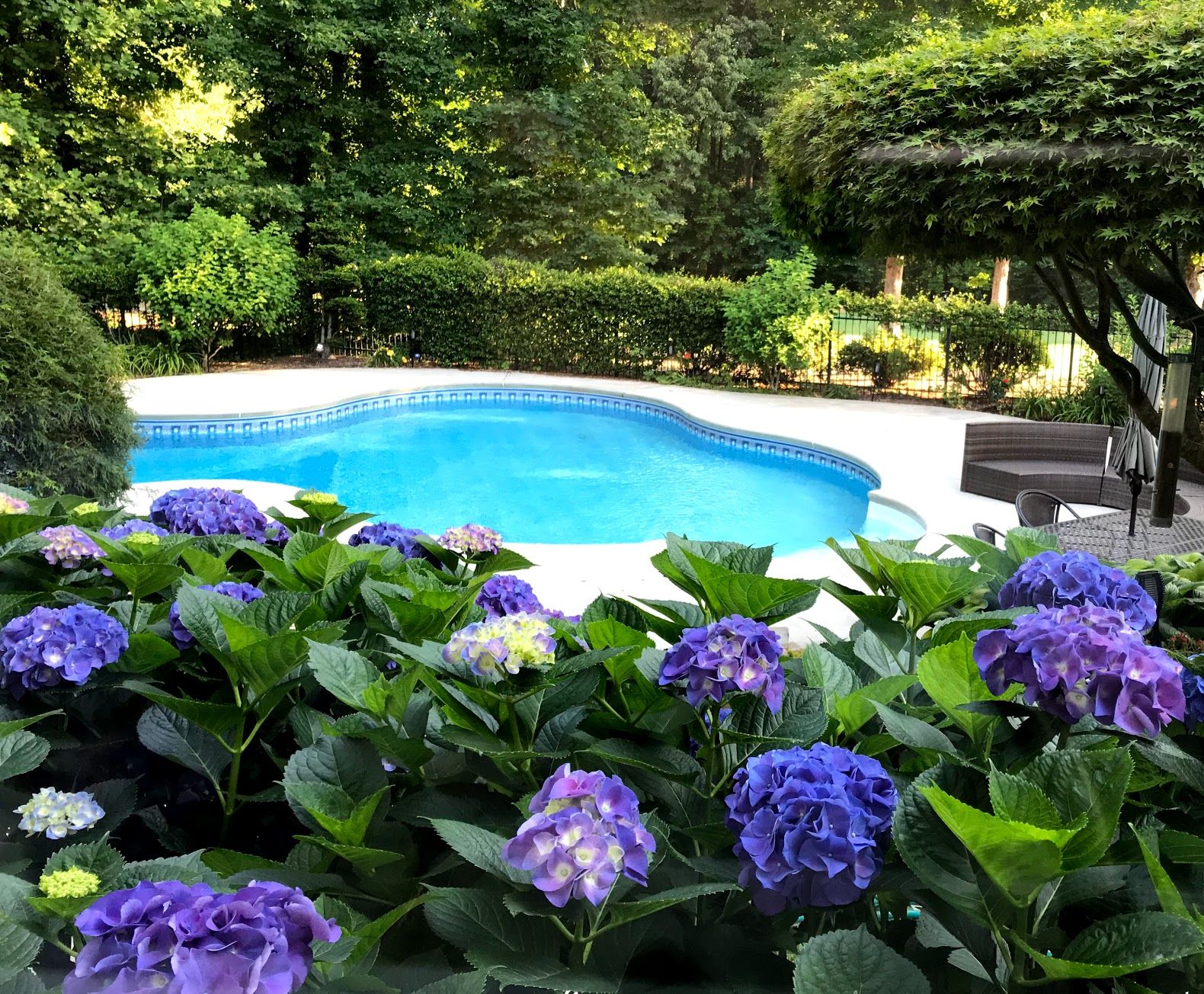 Enhancing Your Outdoor Oasis: The Beauty of Pool Landscaping