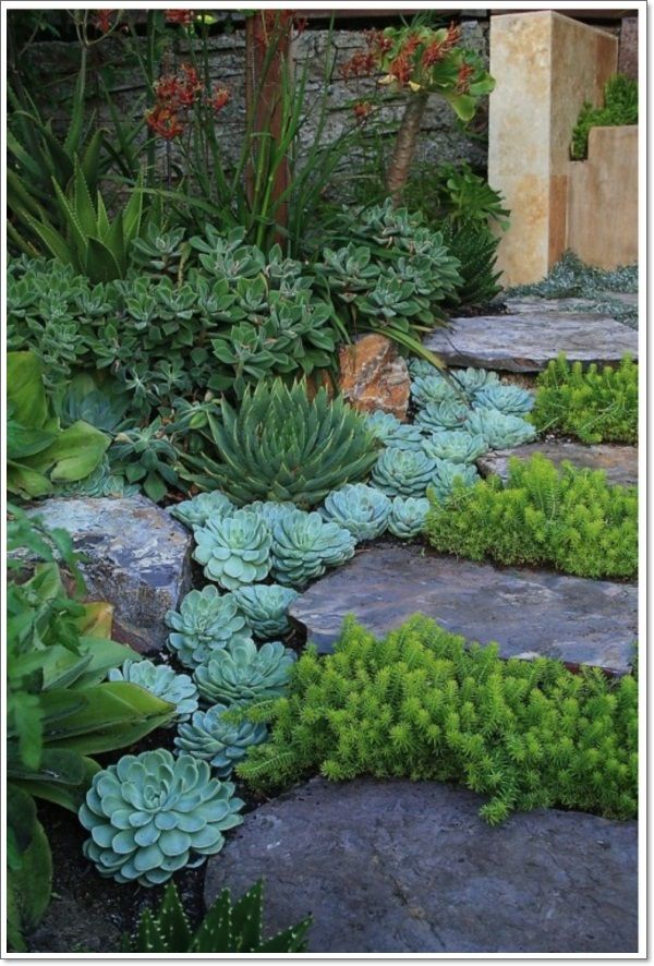 Enhancing Your Outdoor Space: A Guide to Creative Garden Design with Rocks