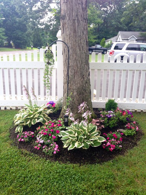 Enhancing your Outdoor Space: Creative Landscaping Ideas for Trees