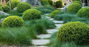 garden design with rocks