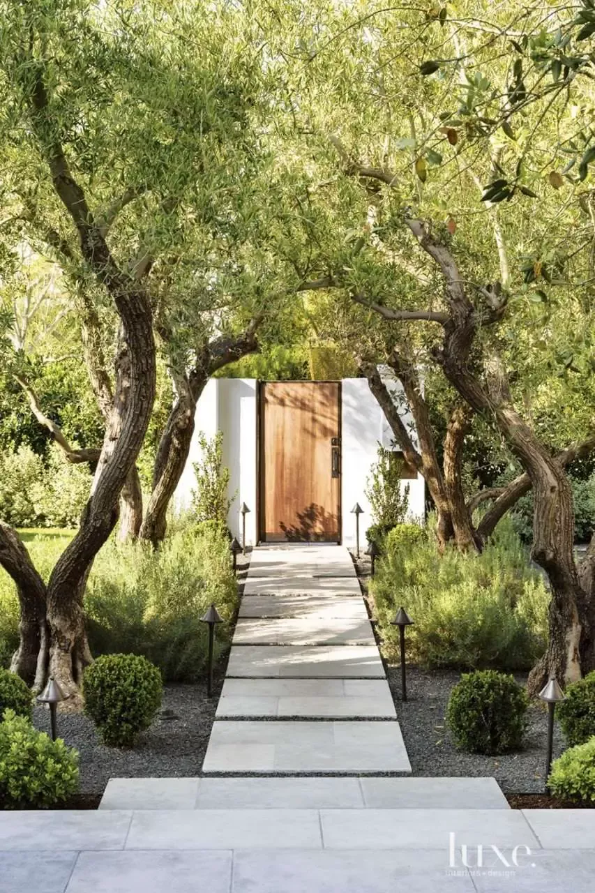 Enhancing Your Outdoor Space with Beautifully Designed Trees